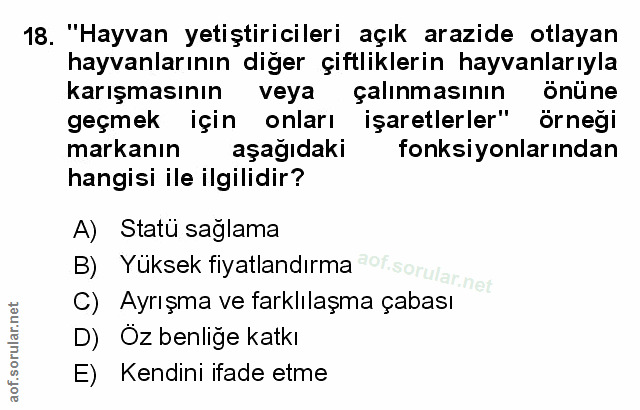 Soru 18