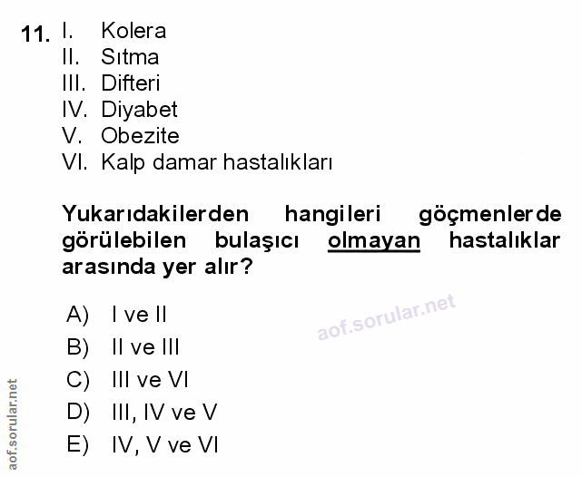 Soru 11