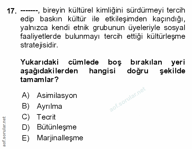 Soru 17
