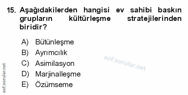 Soru 15