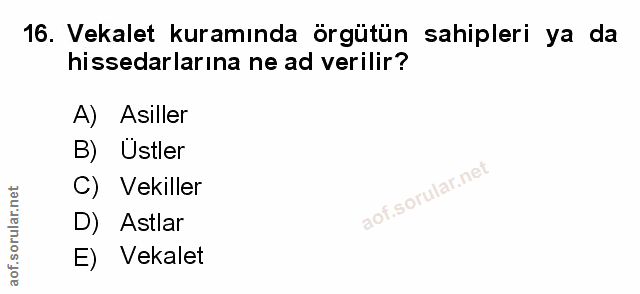 Soru 16