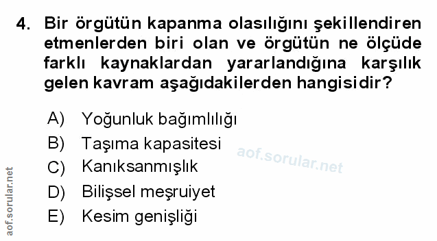 Soru 4