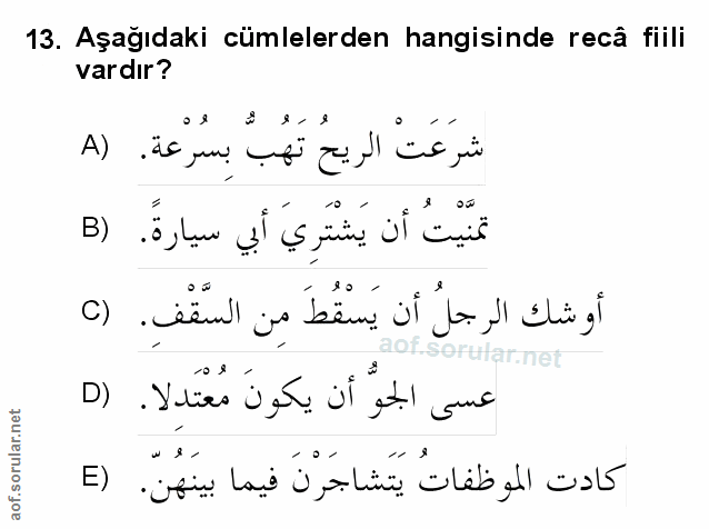 Soru 13