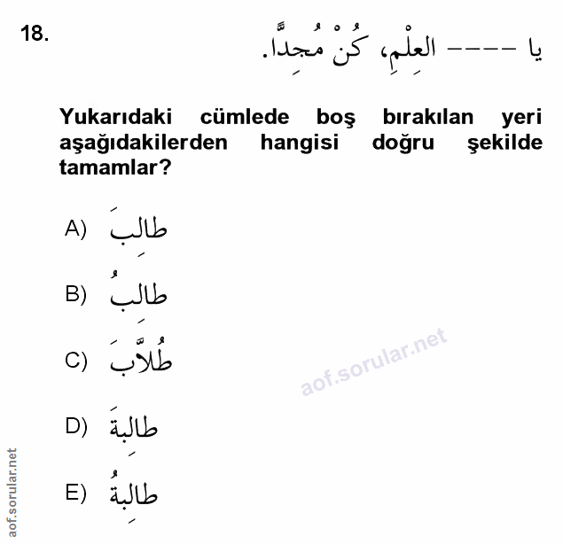 Soru 18