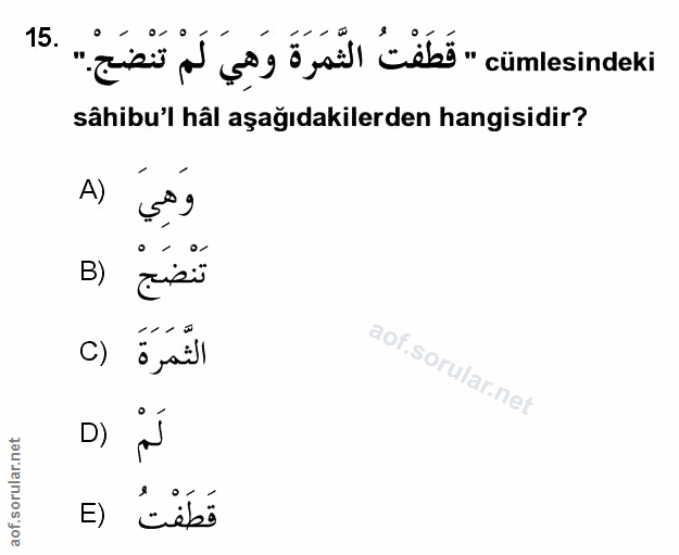 Soru 15