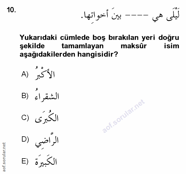 Soru 10
