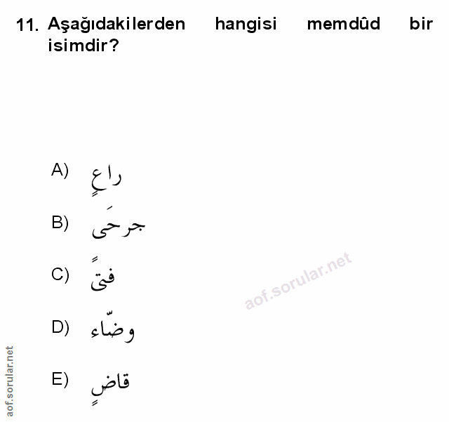 Soru 11