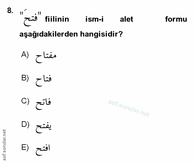 Soru 8