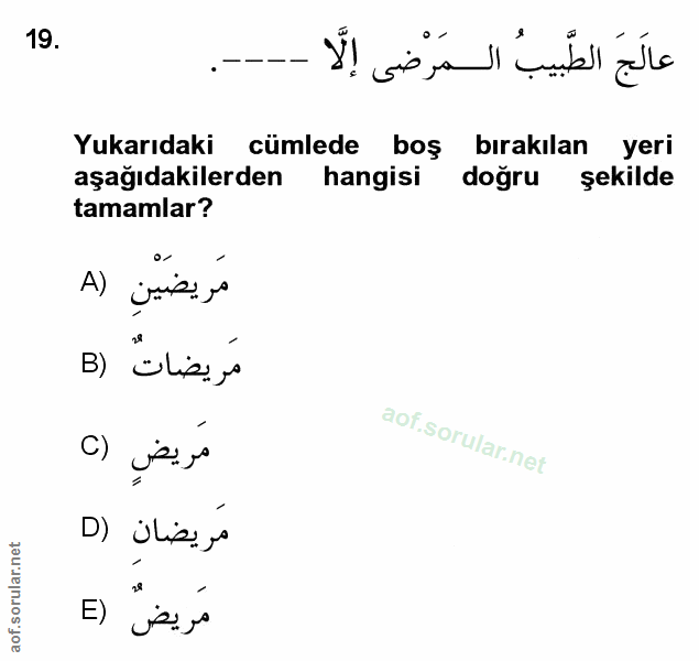 Soru 19