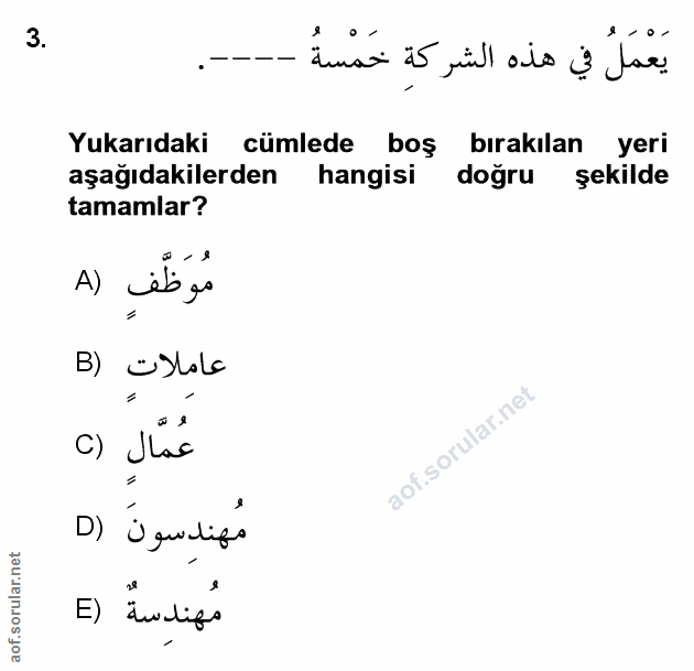 Soru 3