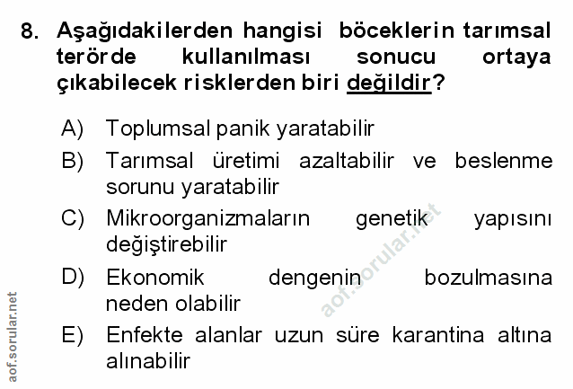 Soru 8