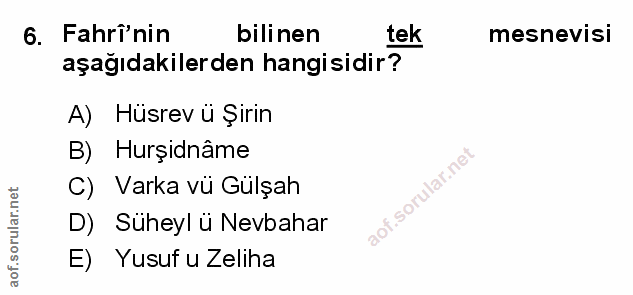 Soru 6