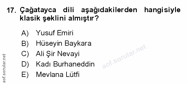 Soru 17