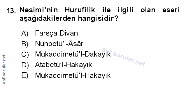 Soru 13
