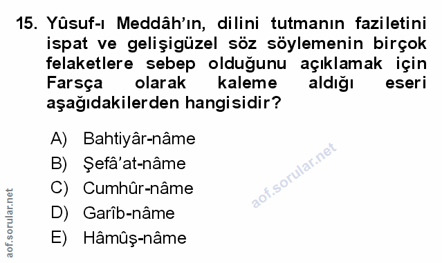 Soru 15