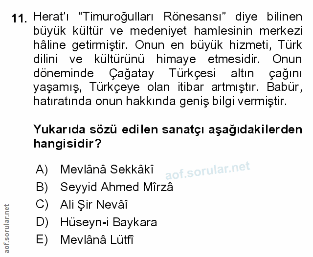 Soru 11