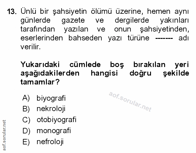 Soru 13