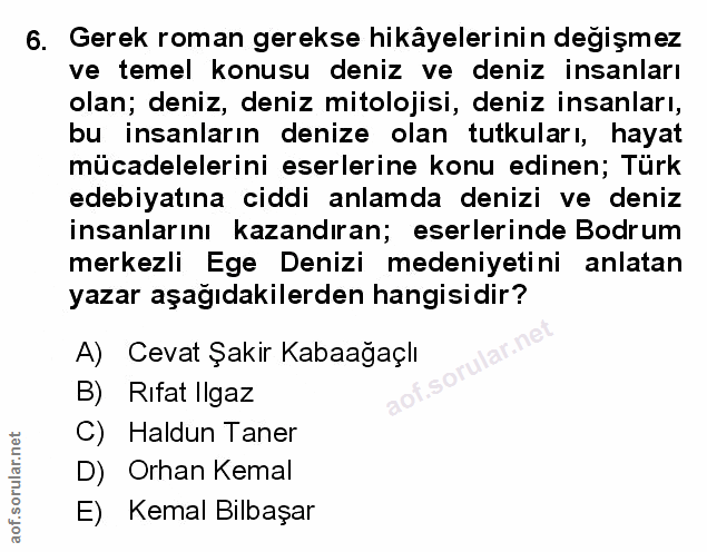 Soru 6