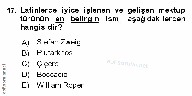Soru 17