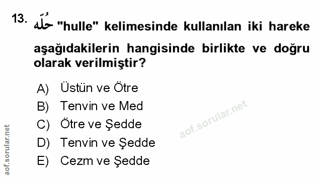 Soru 13