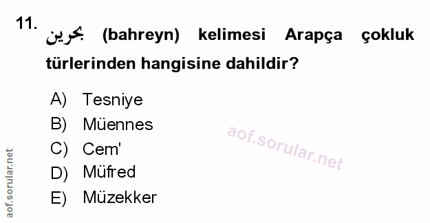Soru 11