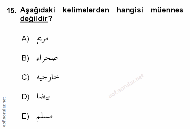 Soru 15