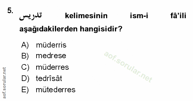 Soru 5