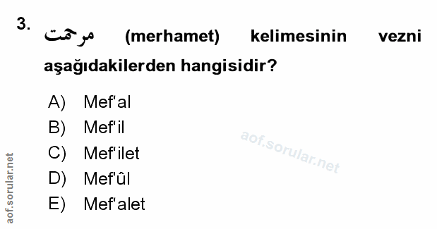 Soru 3