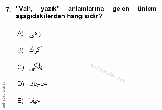 Soru 7