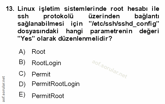 Soru 13
