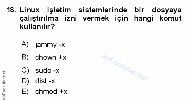Soru 18