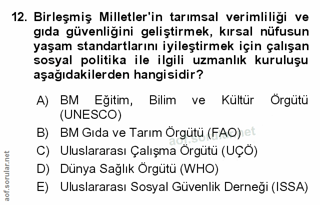 Soru 12
