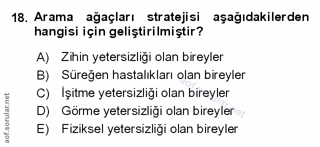 Soru 18