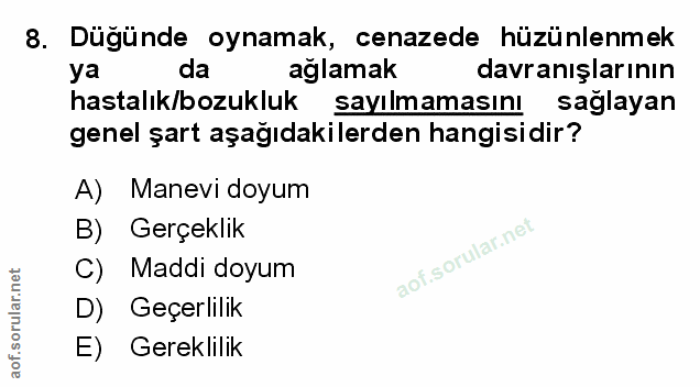 Soru 8