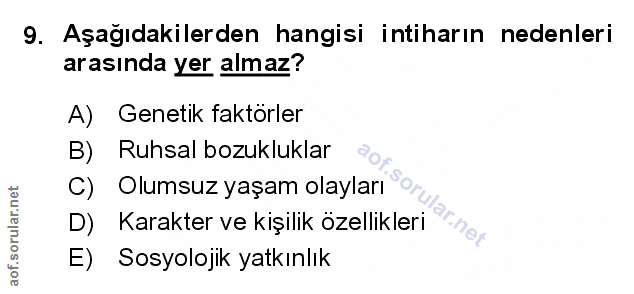 Soru 9