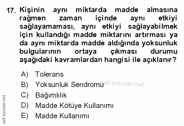 Soru 17