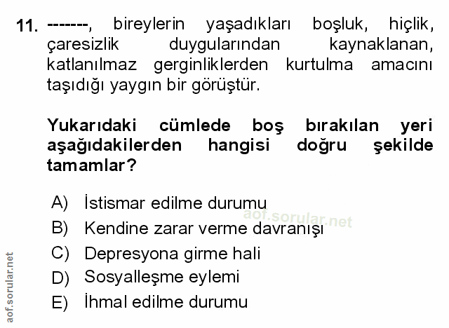 Soru 11