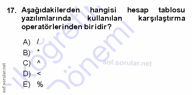 Soru 17