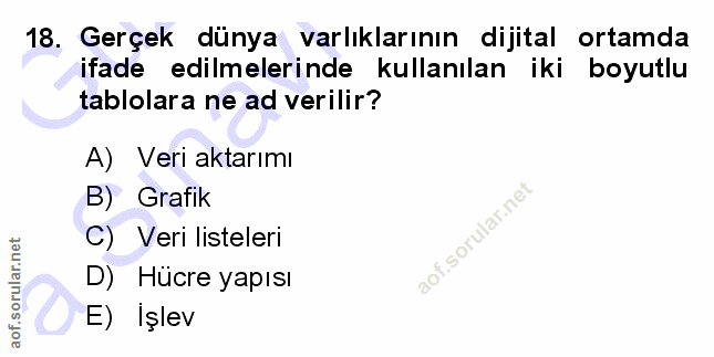 Soru 18