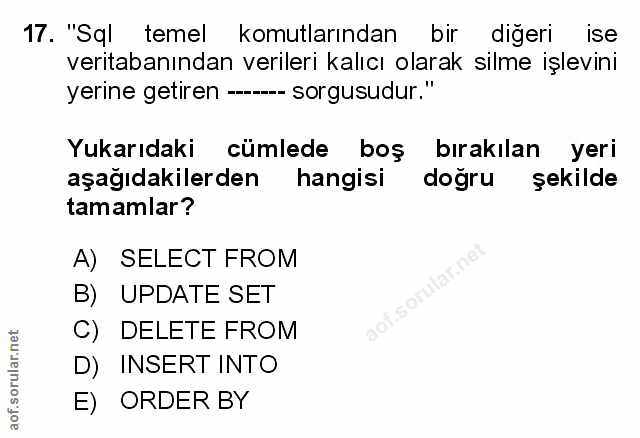 Soru 17