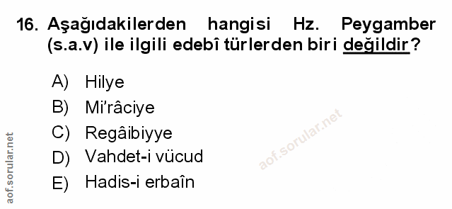 Soru 16