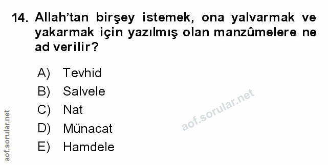 Soru 14
