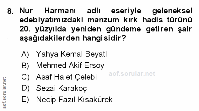 Soru 8