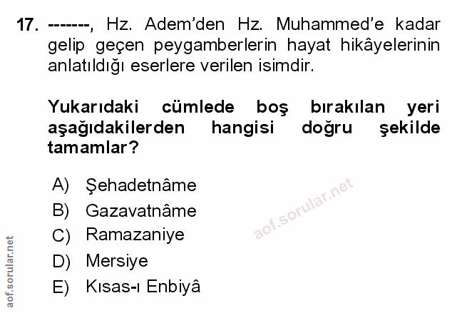 Soru 17