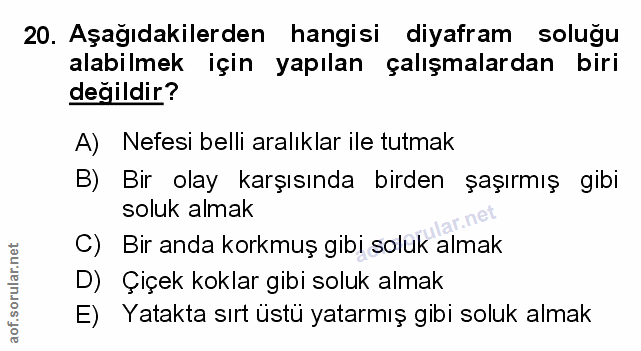 Soru 20