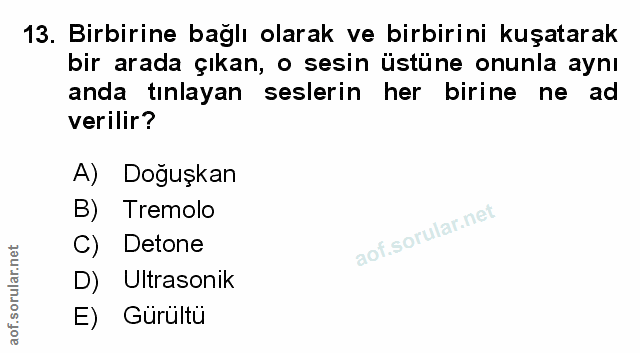 Soru 13