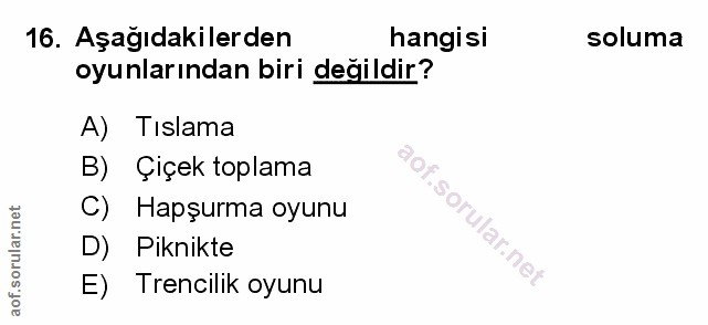 Soru 16
