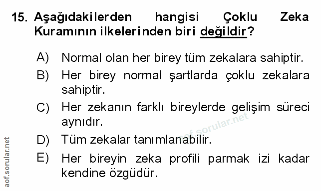 Soru 15