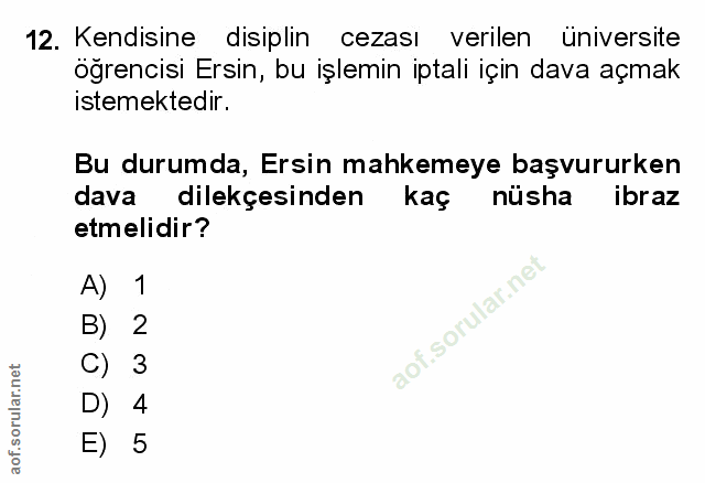 Soru 12
