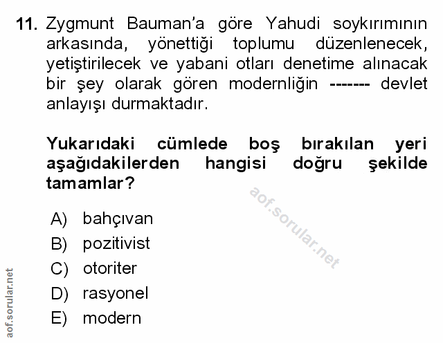Soru 11